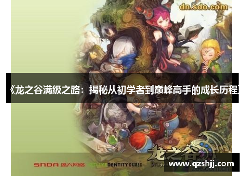 《龙之谷满级之路：揭秘从初学者到巅峰高手的成长历程》